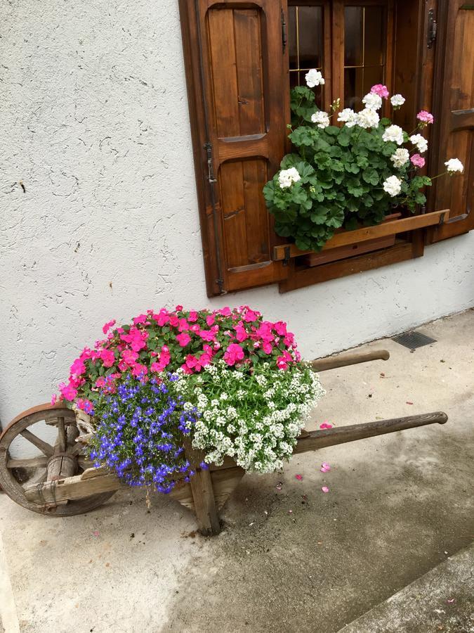Albergo Meuble Tarandan Forni di Sopra Exterior photo